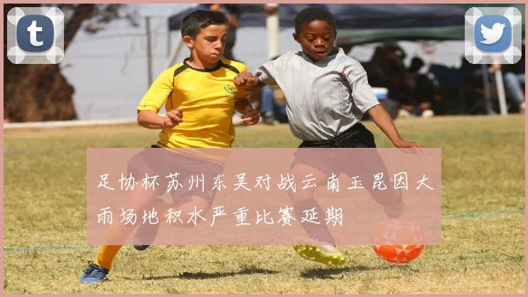 足协杯苏州东吴对战云南玉昆因大雨场地积水严重比赛延期