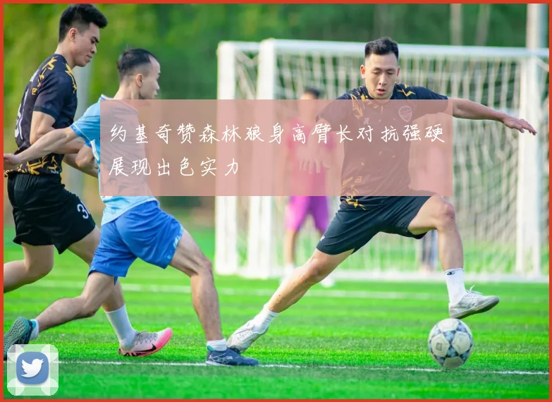 约基奇赞森林狼身高臂长对抗强硬展现出色实力